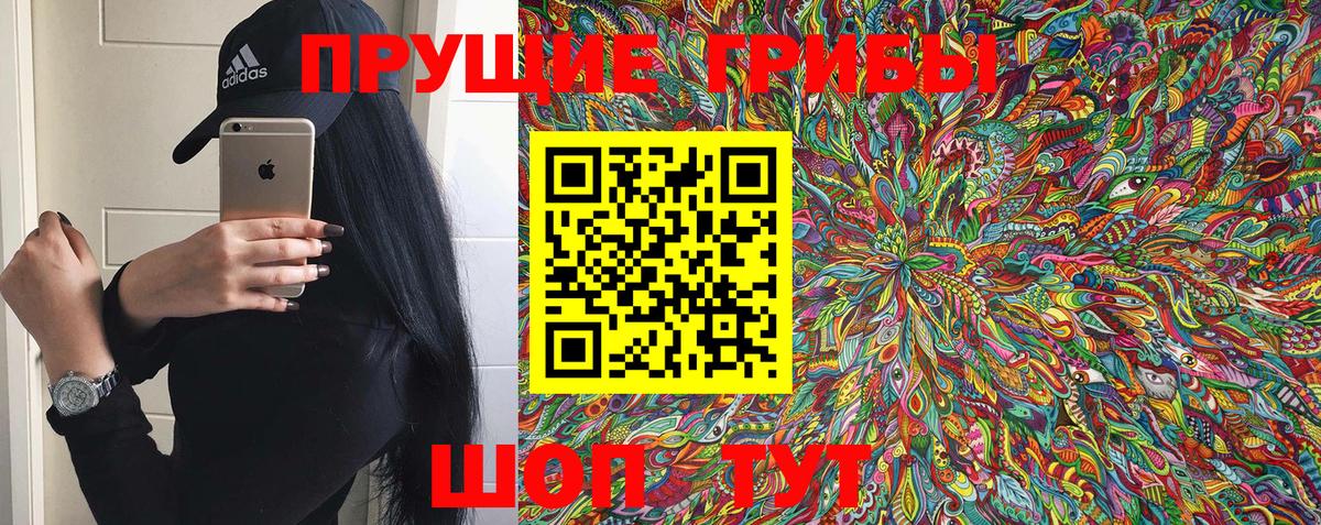 Псилоцибиновые грибы мицелий Тихвин
