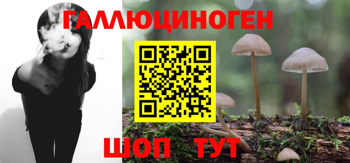 Псилоцибиновые грибы Psilocybine cubensis  Вход с VPN  Тихвин 